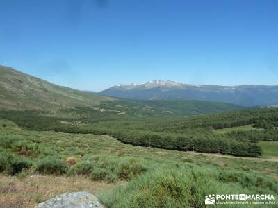 Circo de La Pedriza;lagunas de gredos viajes junio floracion jerte